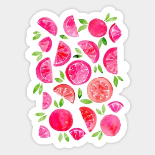 Watercolor grapefruit - pink Sticker